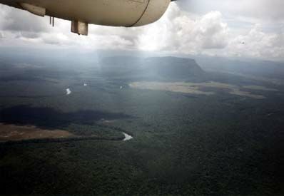 Die etwa 2000 m hohen Tafelberge im Landesinnern von Venezuela