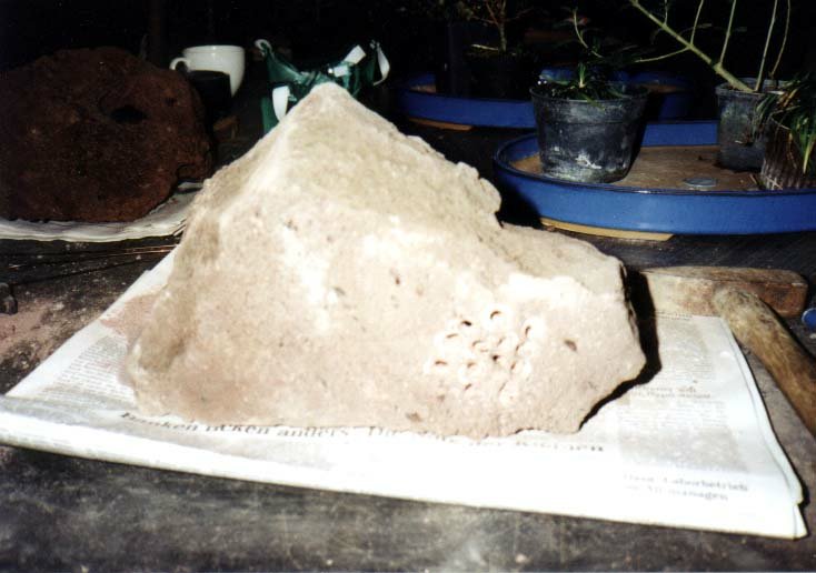 Der Stein mit einer vorgebohrten Pflanzöffung